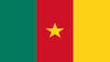 Fußball WM 2014 Team Kamerung Flagge