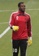 Steve Mandanda wird die WM 2014 verpassen