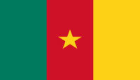 Kamerun möchte ins WM 2014 Achtelfinale