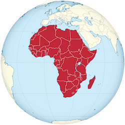 Analyse der afrikanischen Teams der Fußball WM 2014