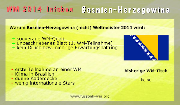 Übersteht Bosnien und Herzegowina die Vorrunde bei der Weltmeisterschaft 2014 in Brasilien? 