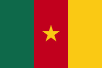 Flagge von Kamerun