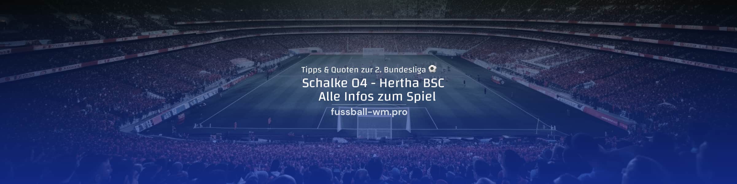 Vorschau und Quoten zum Duell Schalke - Hertha