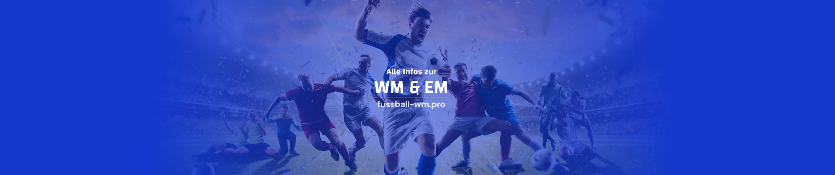 www.fussball-wm.pro
